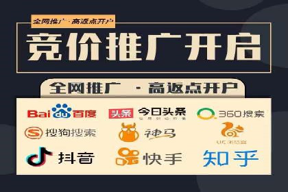 搜索引擎营销（SEM）在移动端的推广案例